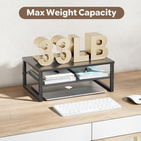 2-Tier Computer Monitor Stand Riser, Desk Organizer for Monitor, Black